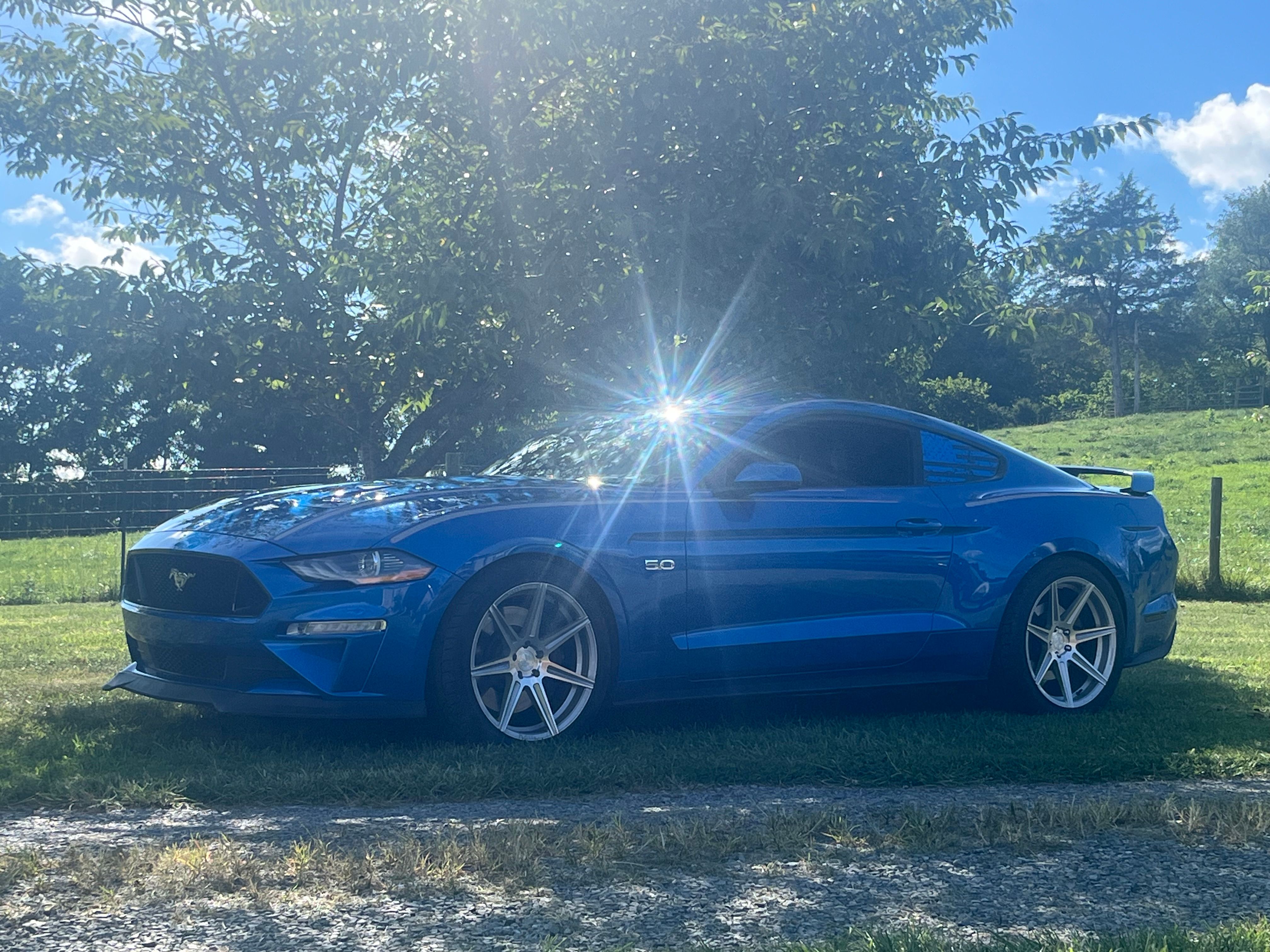 Used 2019 Ford Mustang GT Premium w/ GT Performance Package RWD image 4