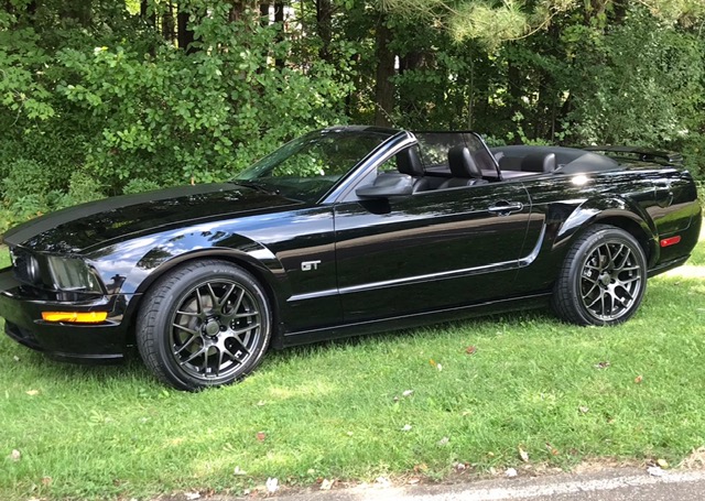 Used 2006 Ford Mustang GT Premium RWD image 1