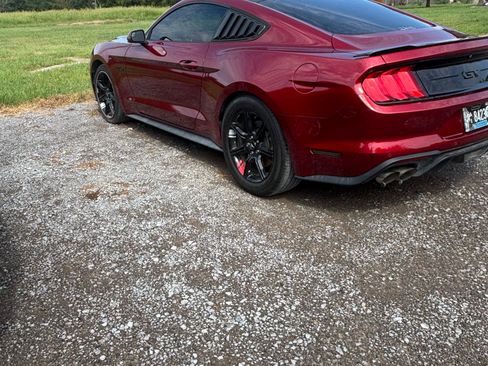 Used 2019 Ford Mustang GT w/ Black Accent Package RWD image 2