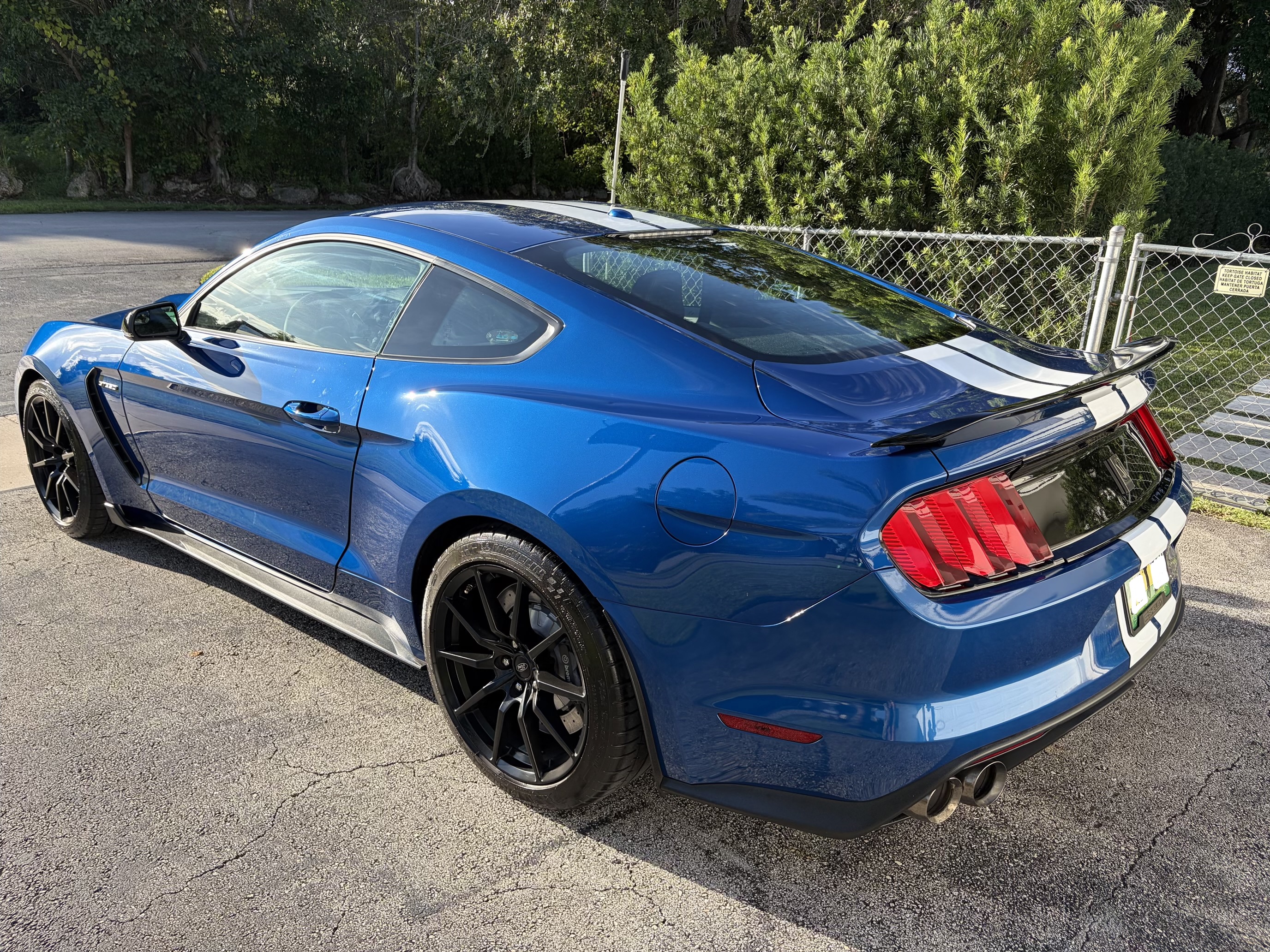 Used 2018 Ford Mustang Shelby GT350 w/ Convenience Package RWD image 9