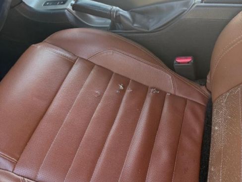 Used 2010 Ford Mustang Premium image 12