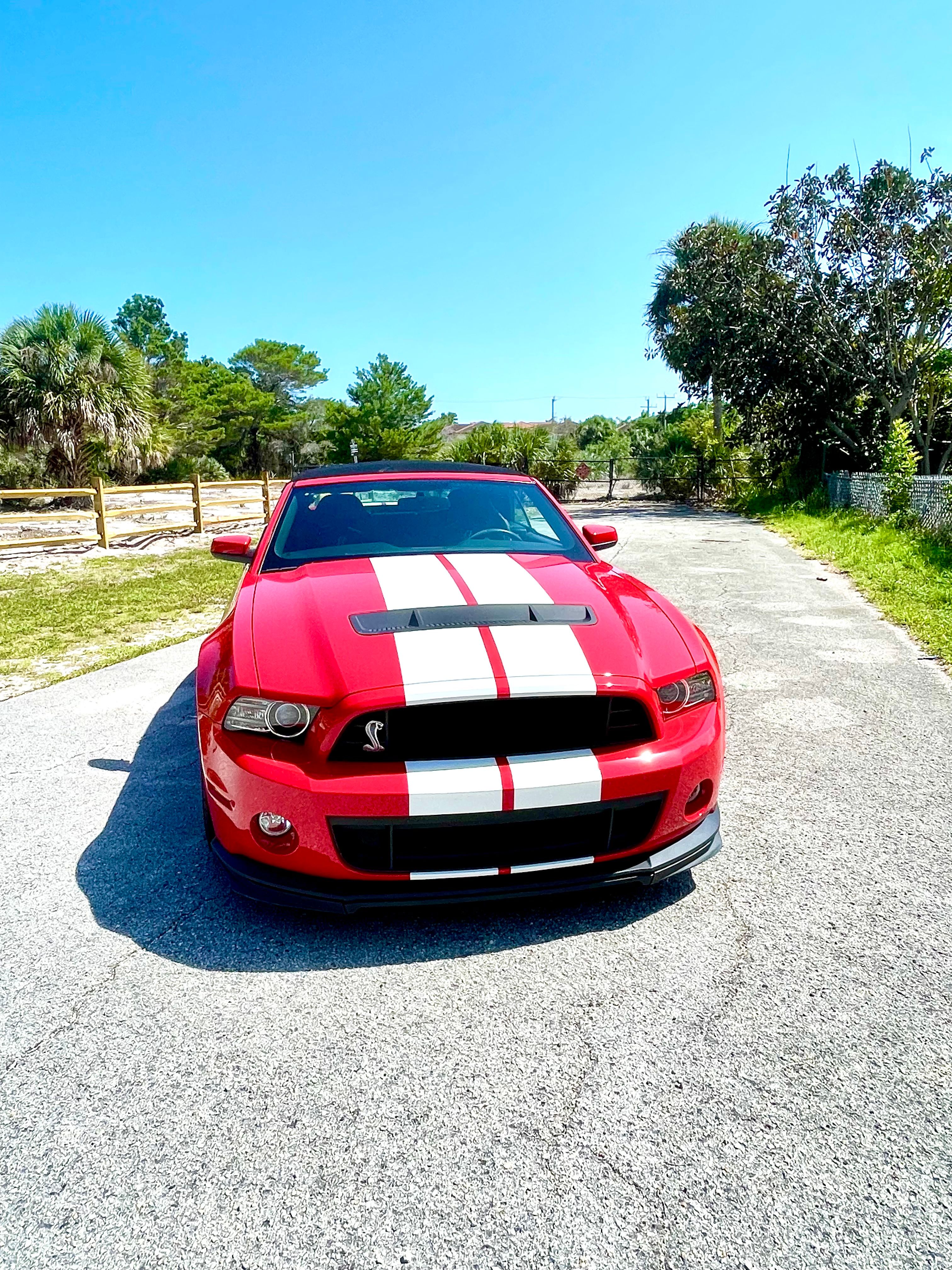 Used 2014 Ford Mustang Shelby GT500 w/ Equipment Group 821A RWD image 5