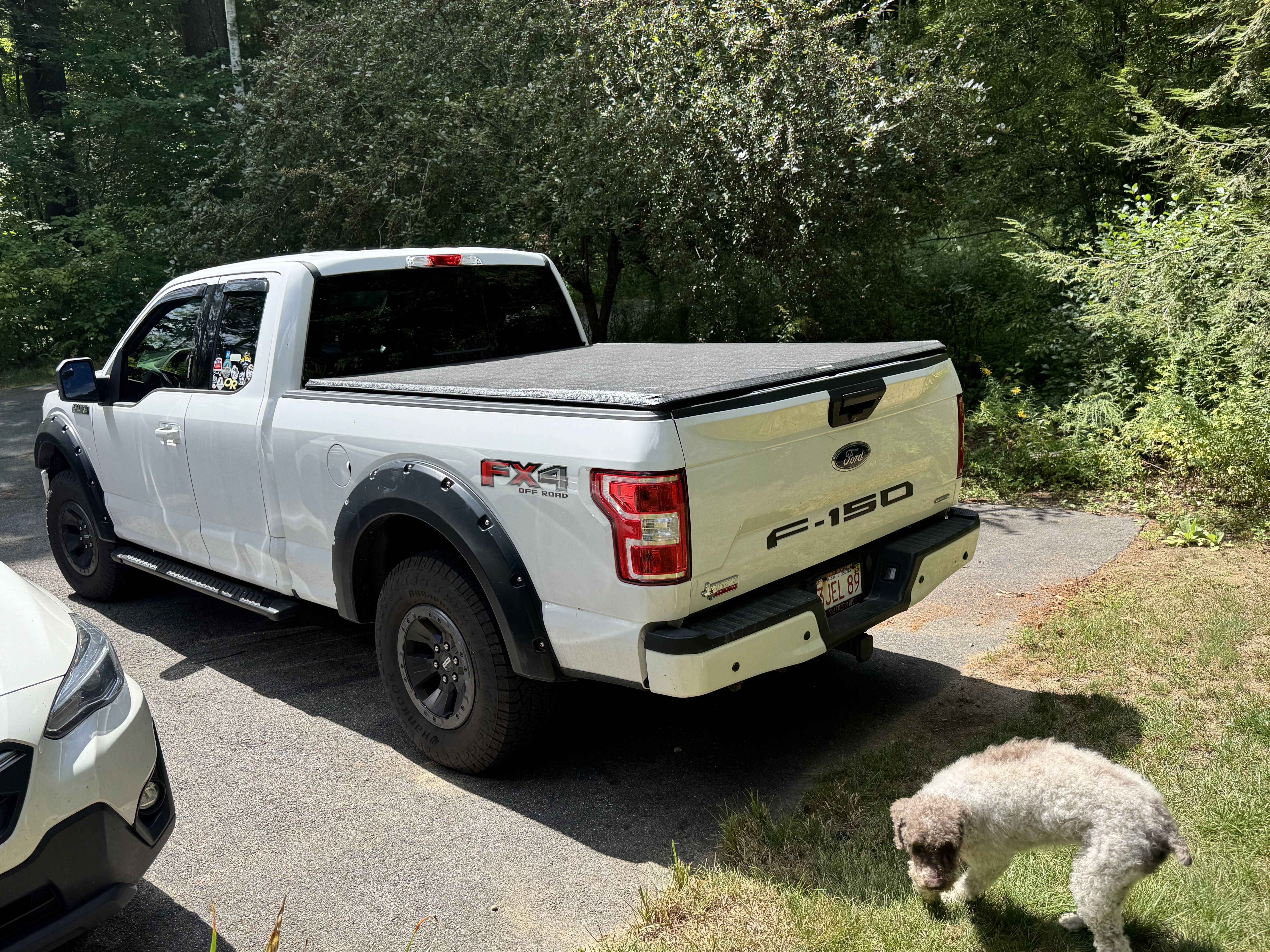 Used 2019 Ford F150 XLT w/ Equipment Group 302A Luxury AWD/4WD image 4