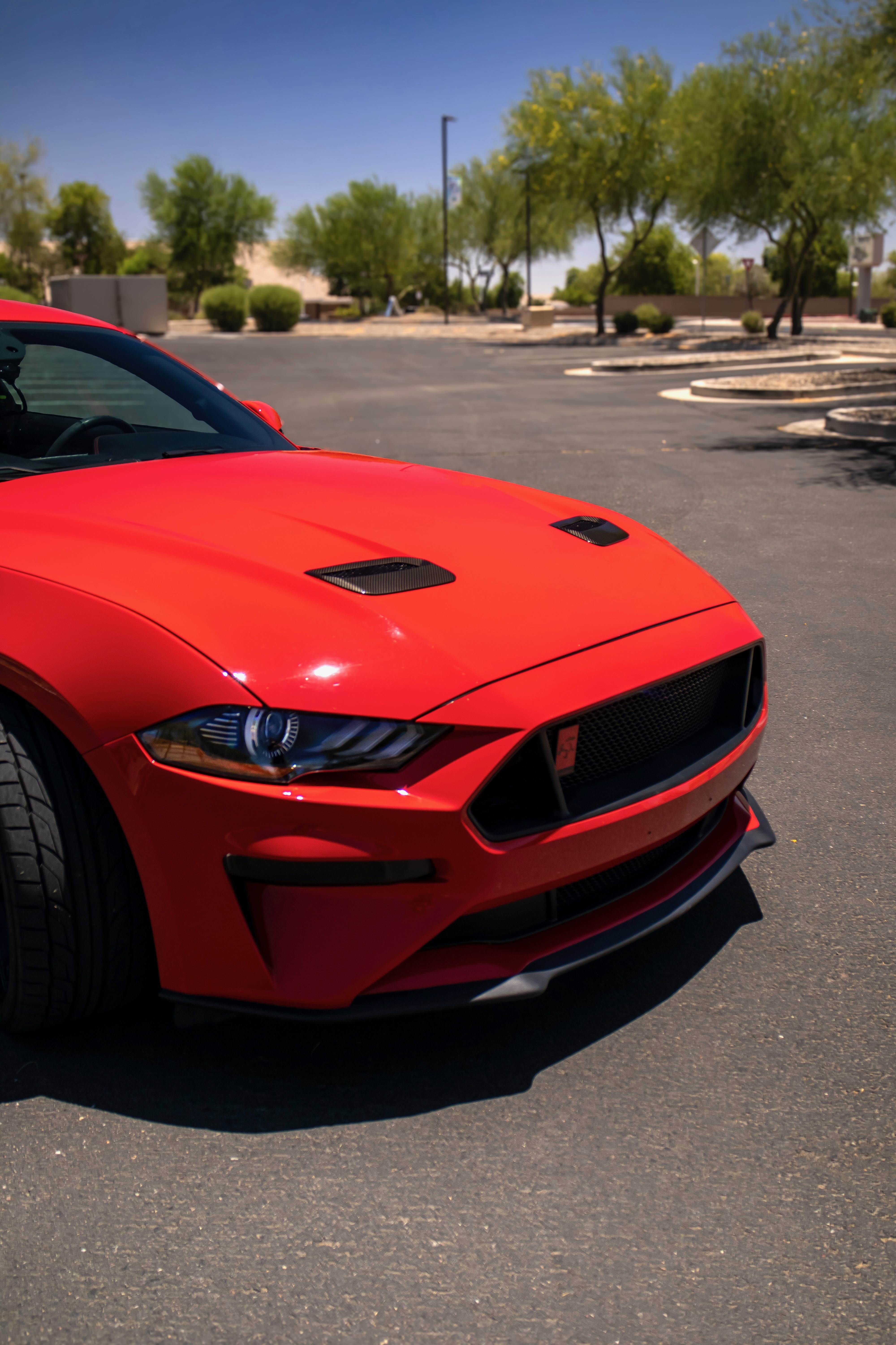 Used 2020 Ford Mustang GT Premium w/ Equipment Group 401A RWD image 4