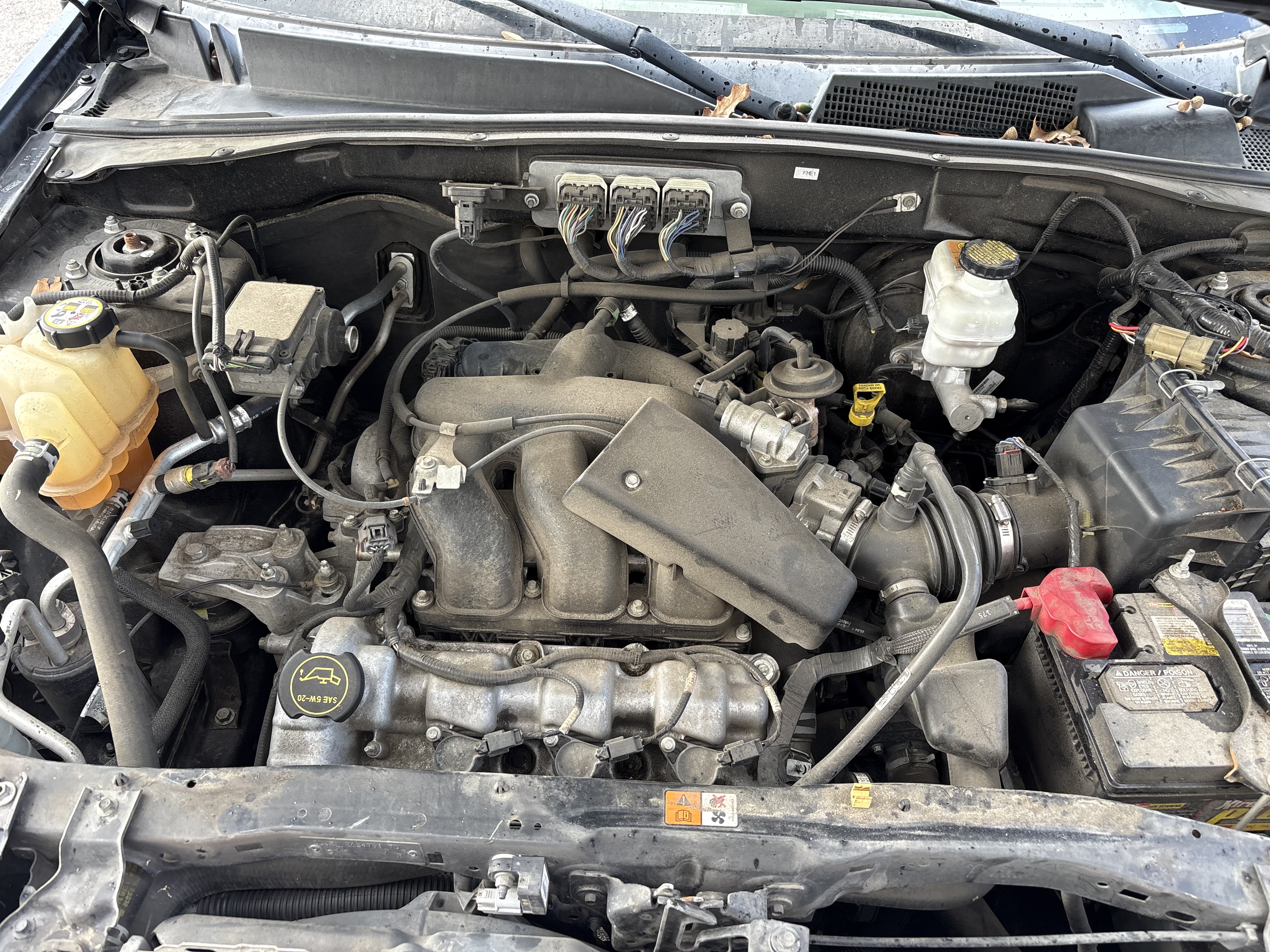Used 2008 Ford Escape XLT AWD/4WD image 17
