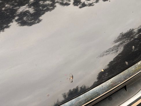 Used 2010 Volkswagen Tiguan Wolfsburg Edition image 10