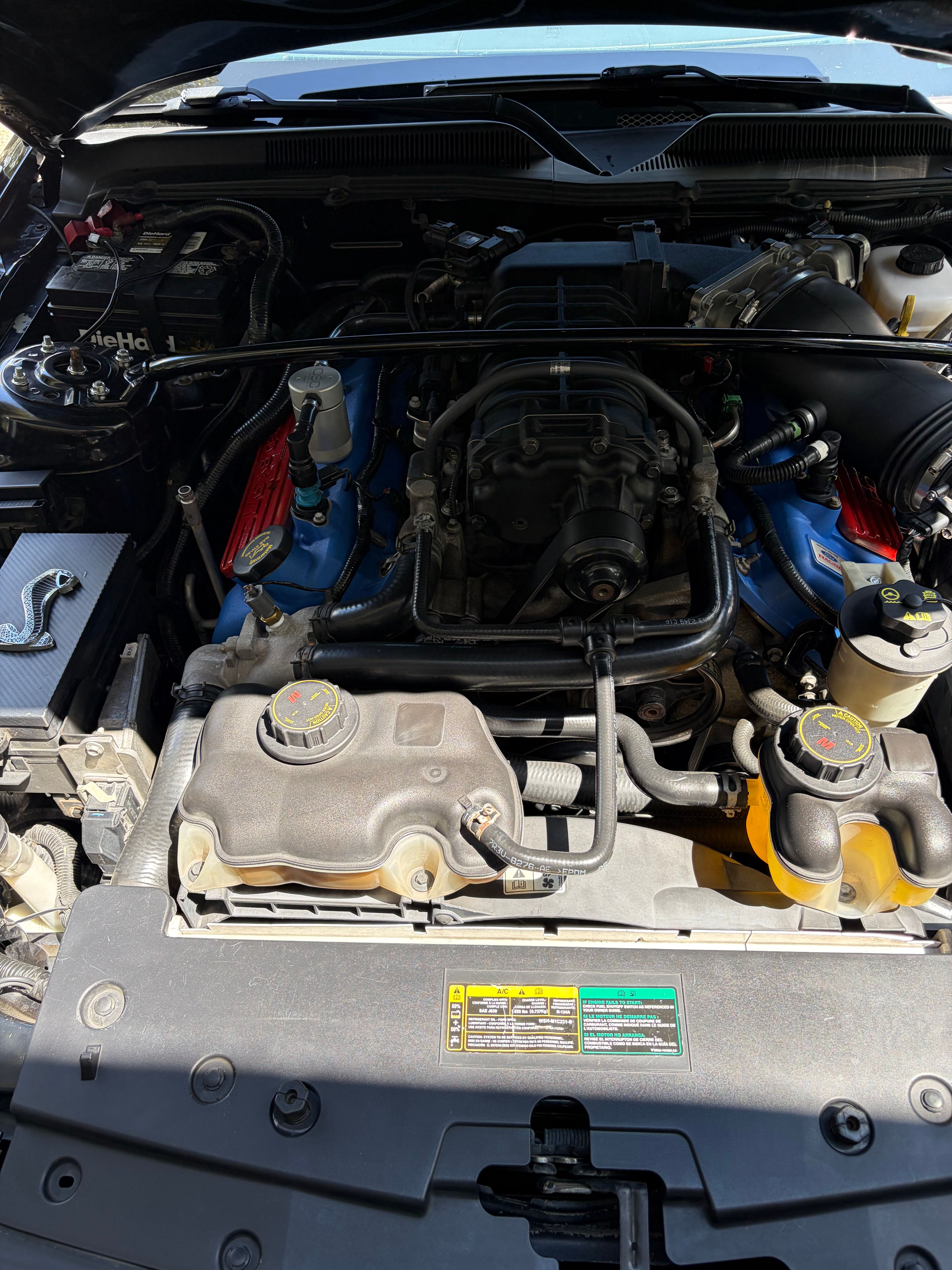 Used 2007 Ford Mustang Shelby GT500 RWD image 13