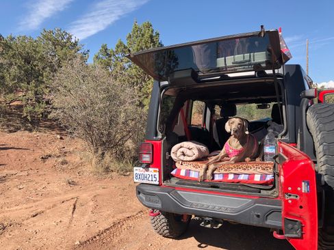 Used 2018 Jeep Wrangler Unlimited Rubicon image 8