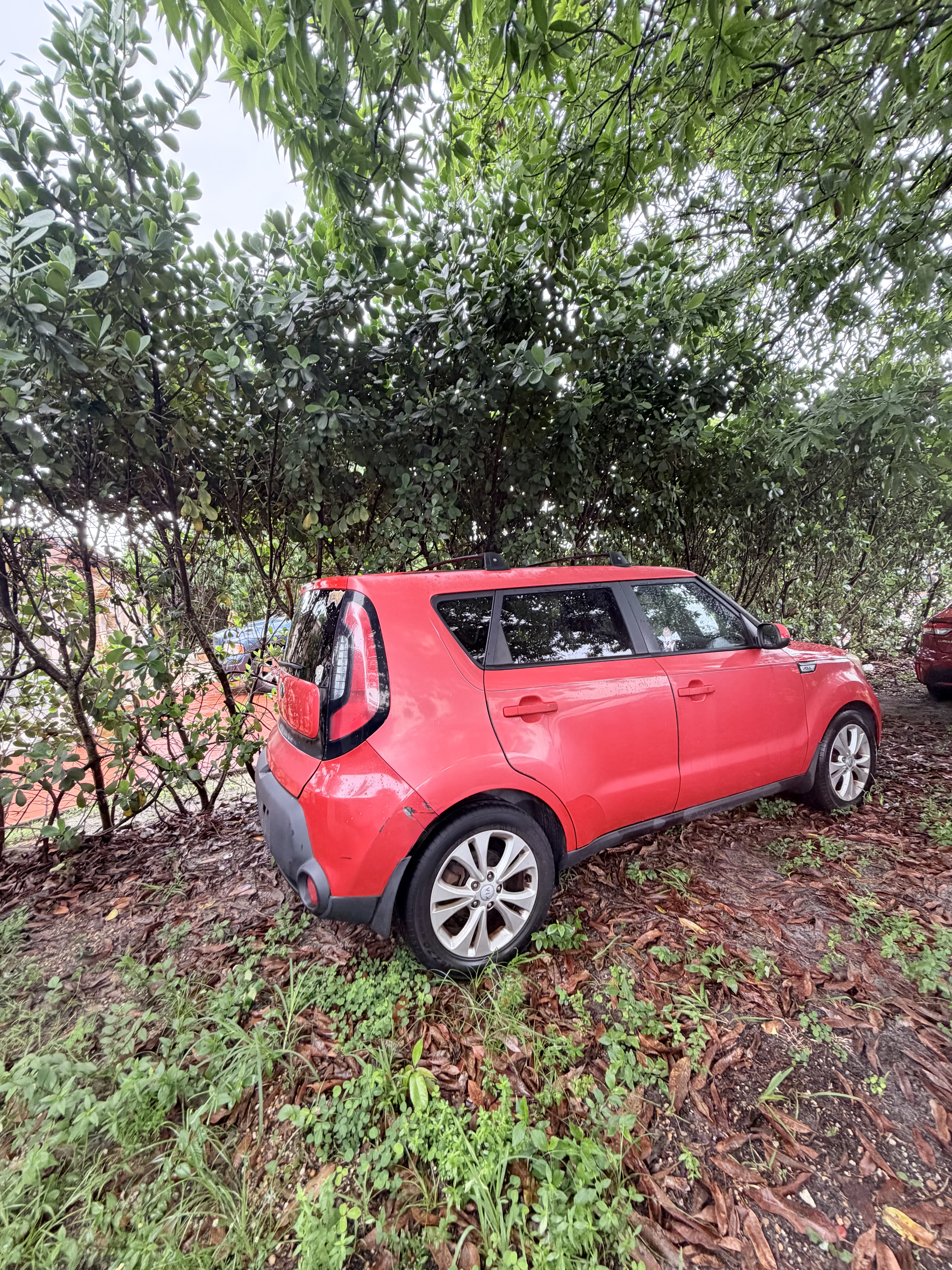 Used 2015 Kia Soul + FWD image 13
