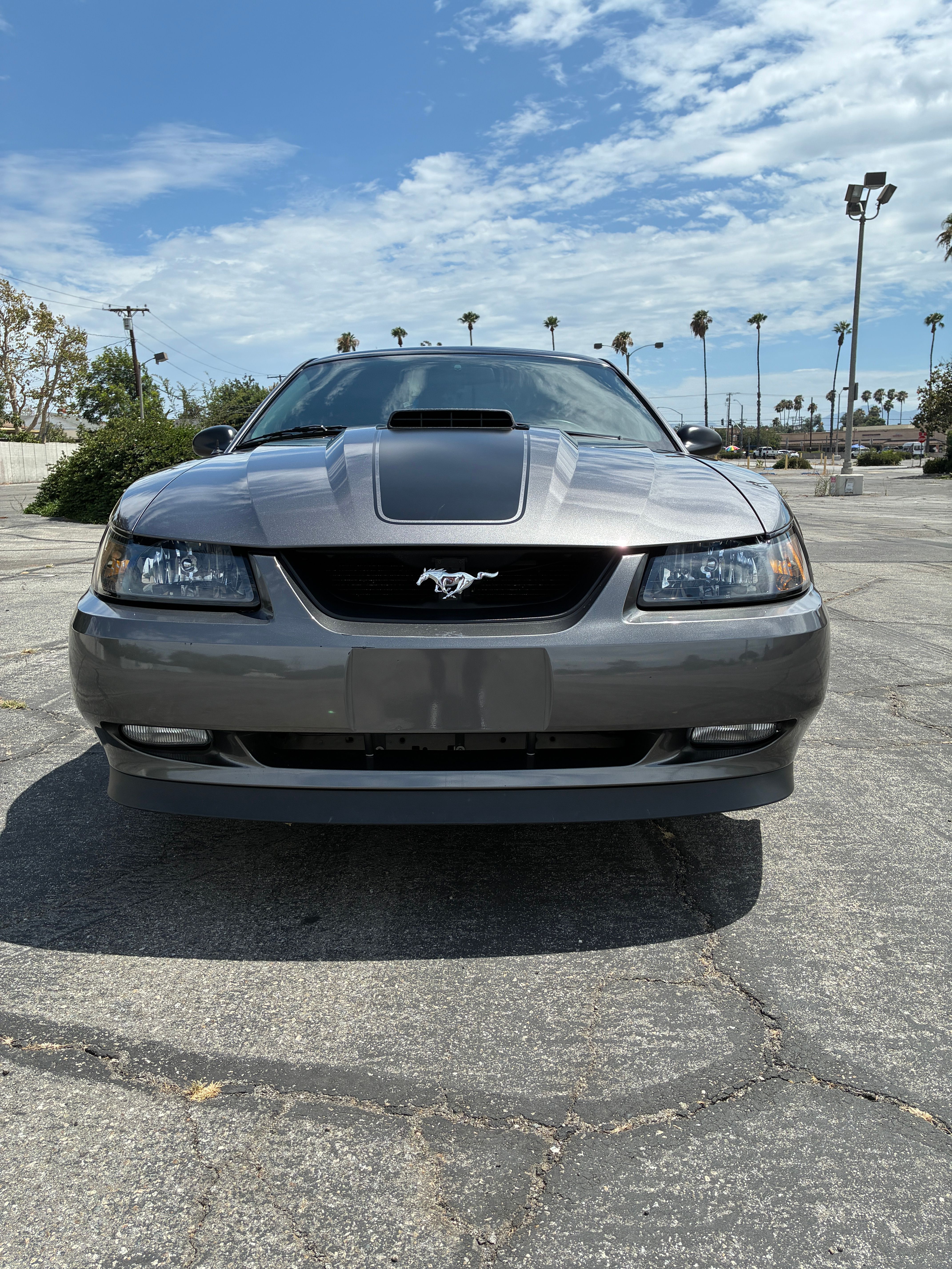 Used 2004 Ford Mustang Mach 1 RWD image 2