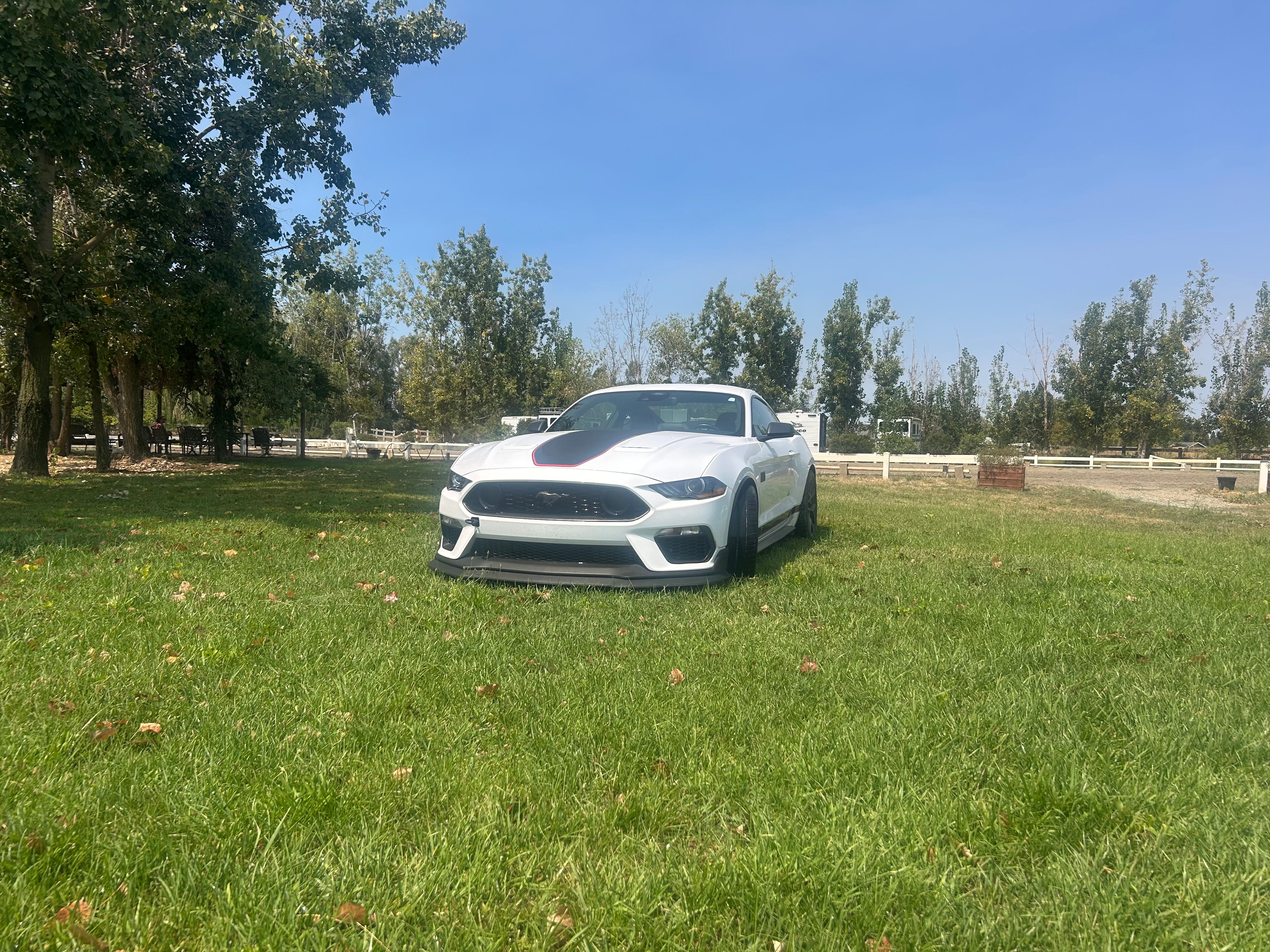 Used 2022 Ford Mustang Mach 1 w/ Mach 1 Handling Package RWD image 1