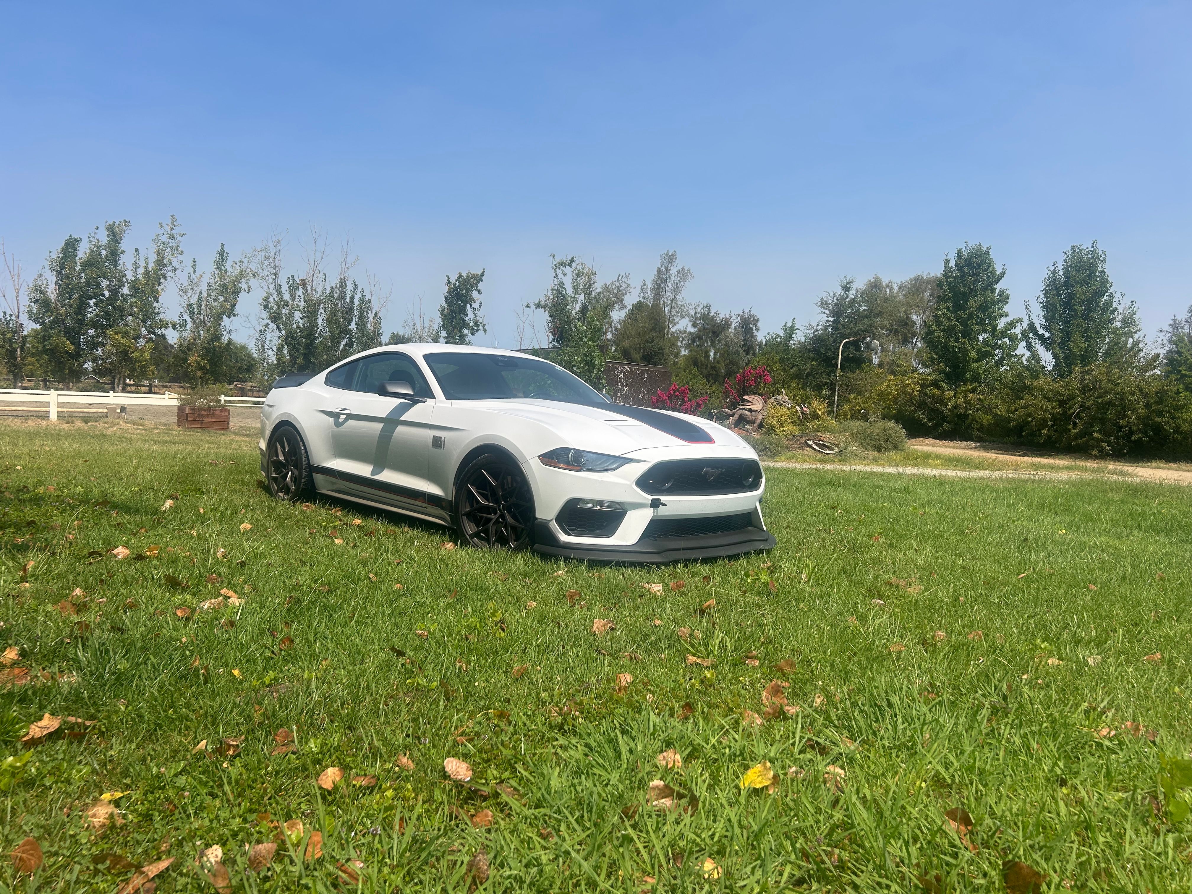 Used 2022 Ford Mustang Mach 1 w/ Mach 1 Handling Package RWD image 2