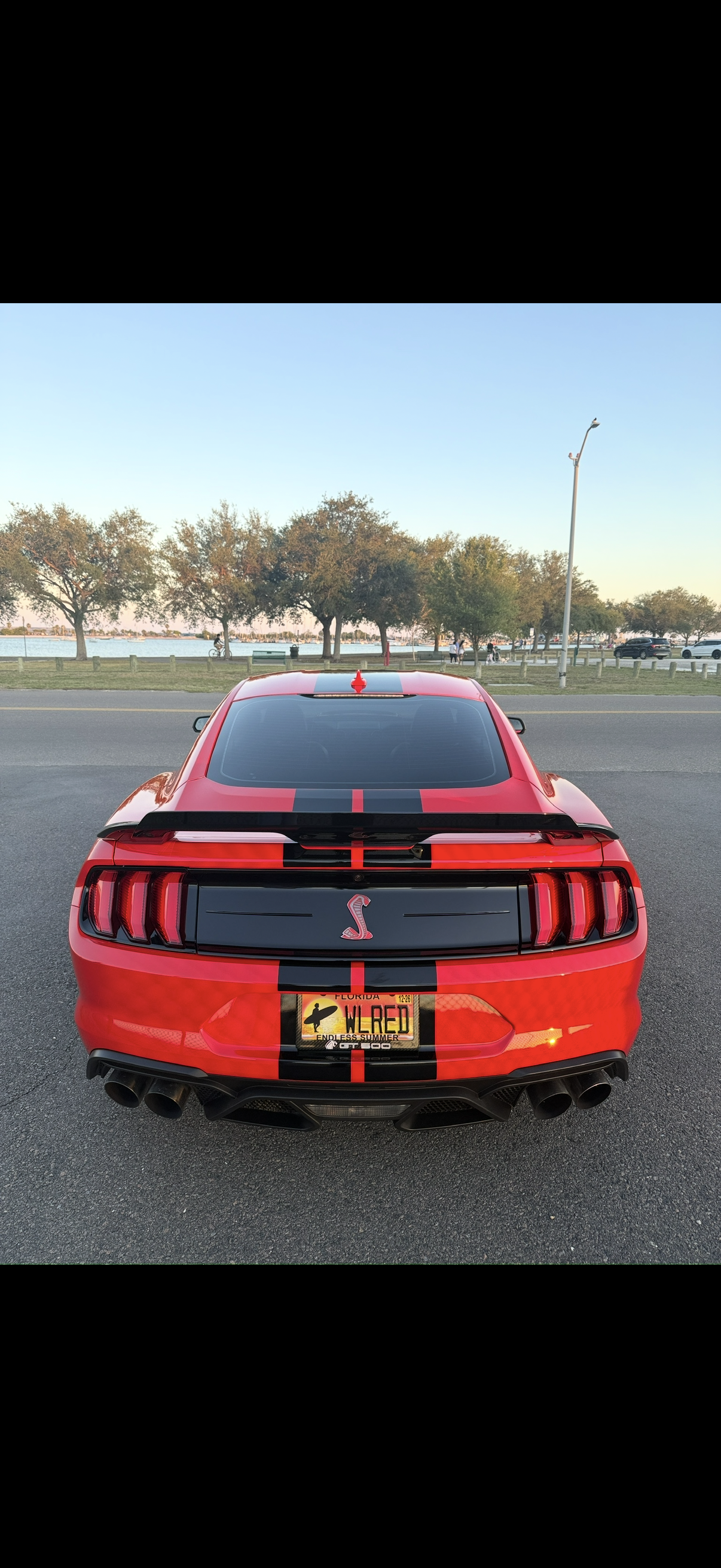 Used 2020 Ford Mustang Shelby GT500 w/ Technology Package RWD image 10
