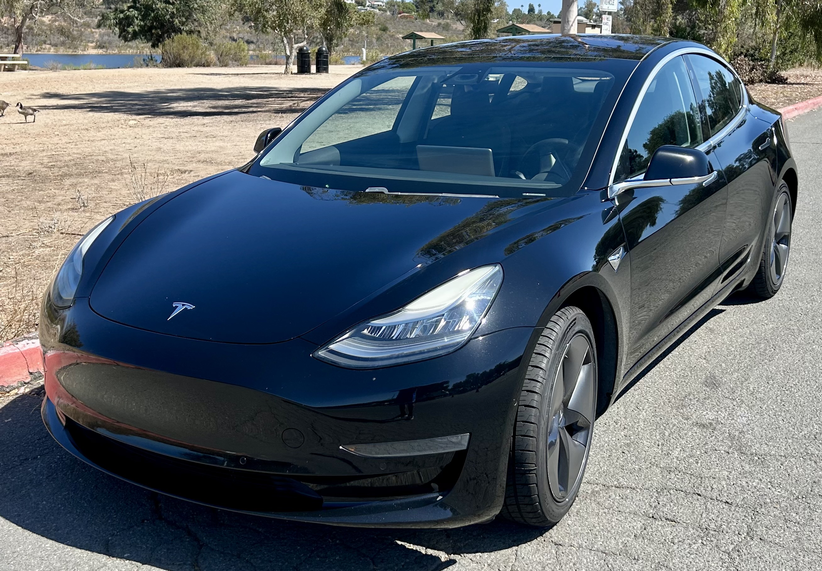 Used 2019 Tesla Model 3 Standard Range Plus RWD image 5