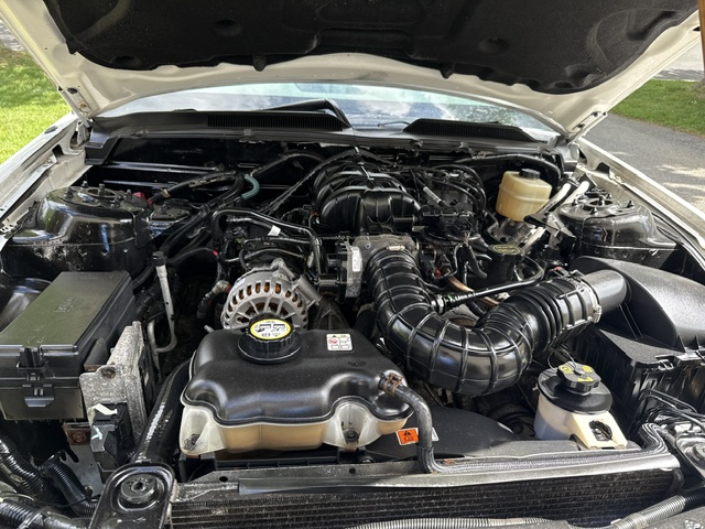 Used 2005 Ford Mustang Premium RWD image 10