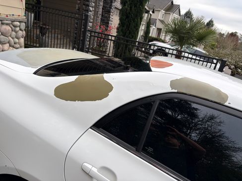 Used 2013 Toyota Corolla LE image 15