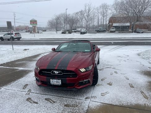 Used 2015 Ford Mustang GT Premium w/ Equipment Group 401A image 4