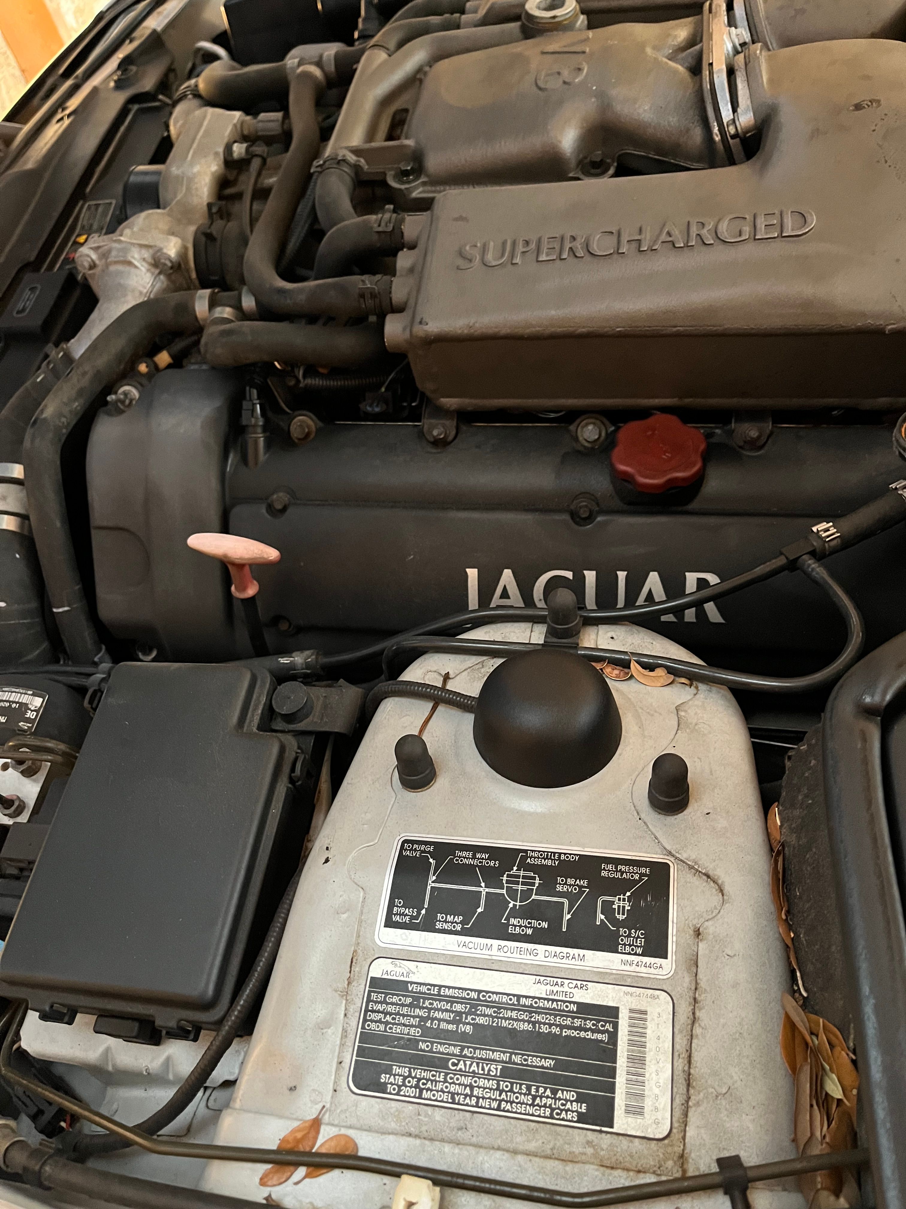 Used 2001 Jaguar XK8 Coupe RWD image 11