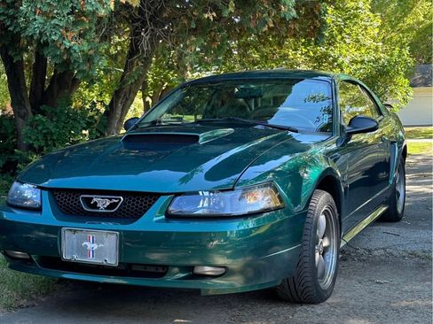 Used 2003 Ford Mustang GT Premium image 1