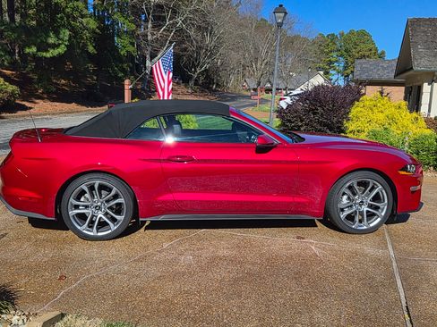 Used 2023 Ford Mustang Premium w/ Equipment Group 201A image 2