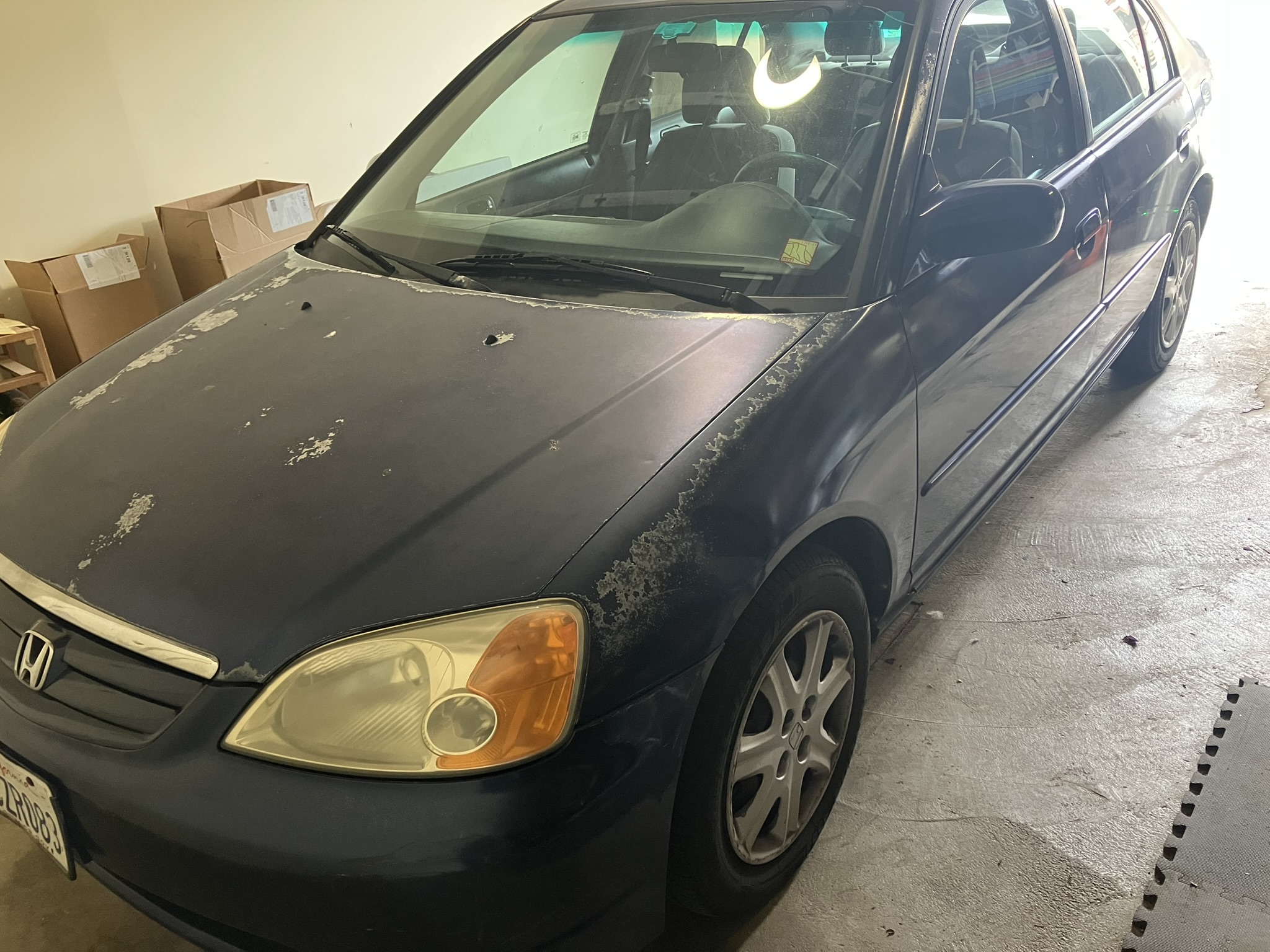 Used 2003 Honda Civic EX image 12