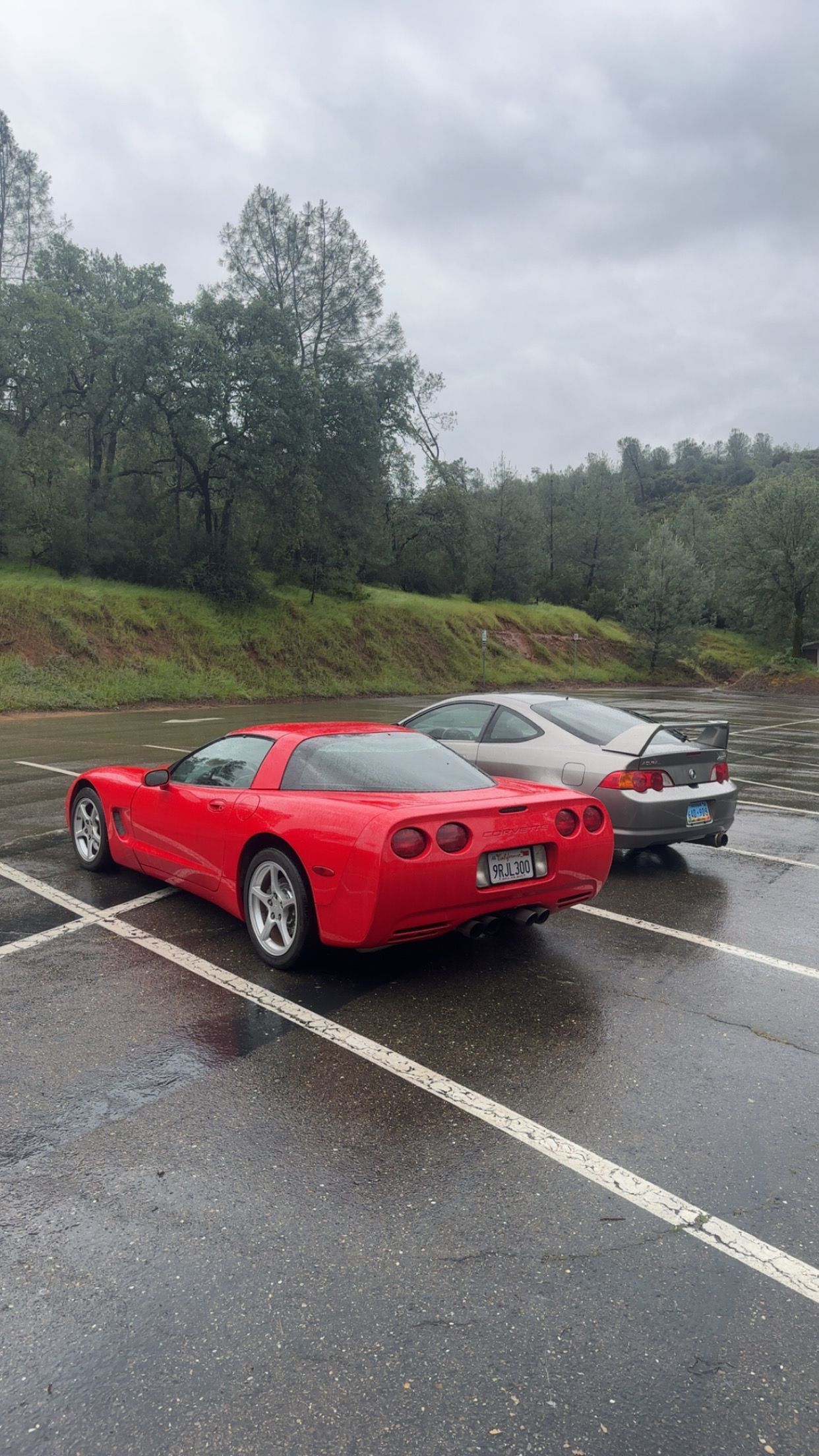 Used 2000 Chevrolet Corvette Coupe w/ Memory Pkg RWD image 13