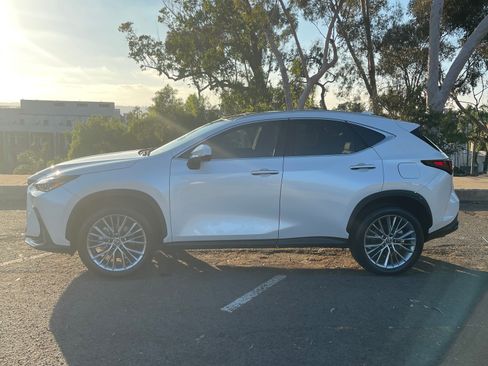 Used 2025 Lexus NX 300h AWD w/ Luxury Package image 8