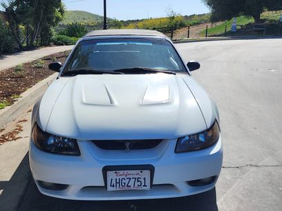Used 1999 Ford Mustang Cobra