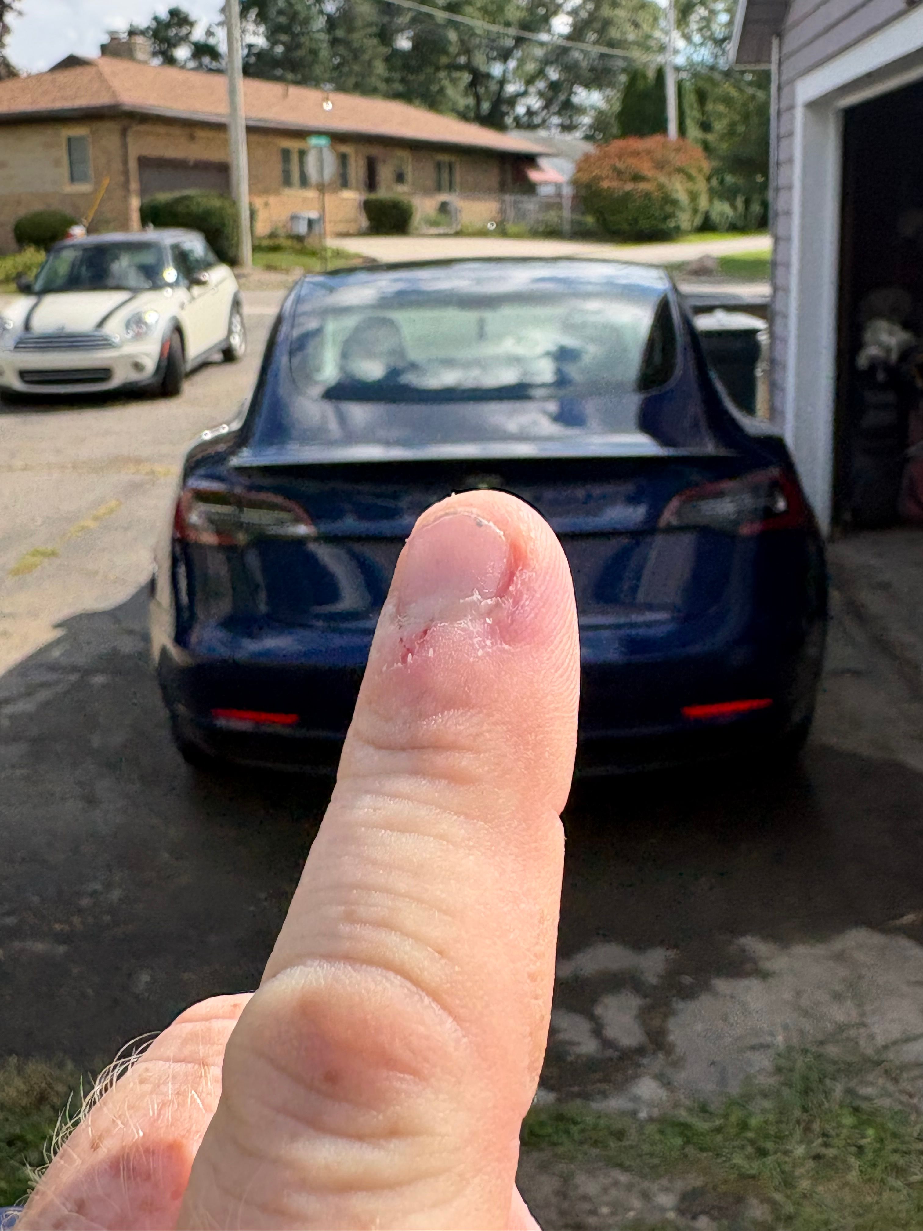 Used 2021 Tesla Model 3 Standard Range Plus RWD image 5