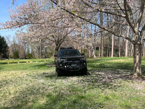 Used 2014 Toyota 4Runner SR5 Premium image 12