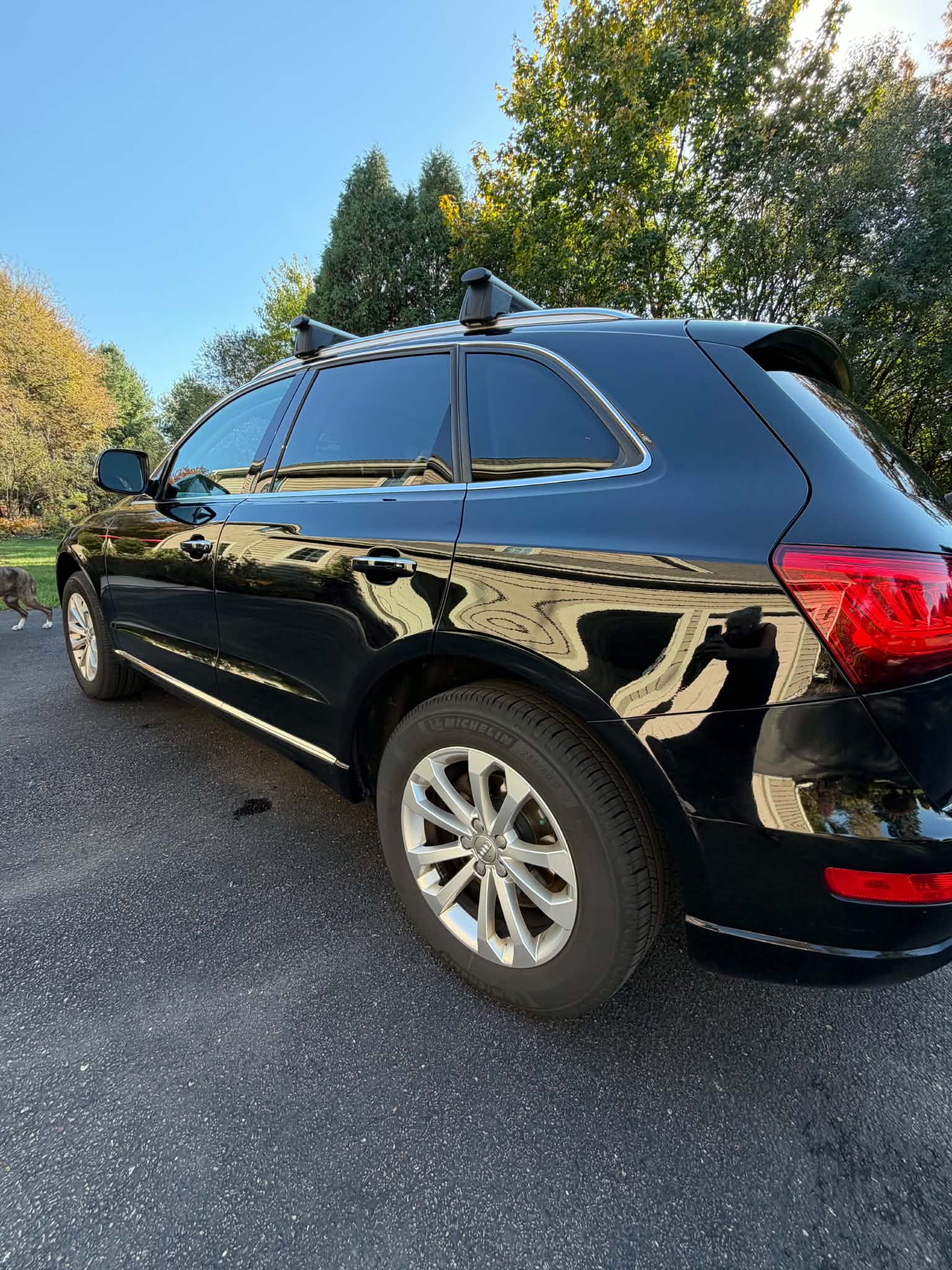 Used 2016 Audi Q5 2.0T Premium Plus w/ Technology Package AWD/4WD image 6