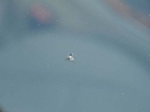 Used 2005 Mercedes-Benz E 320 CDI Sedan image 32