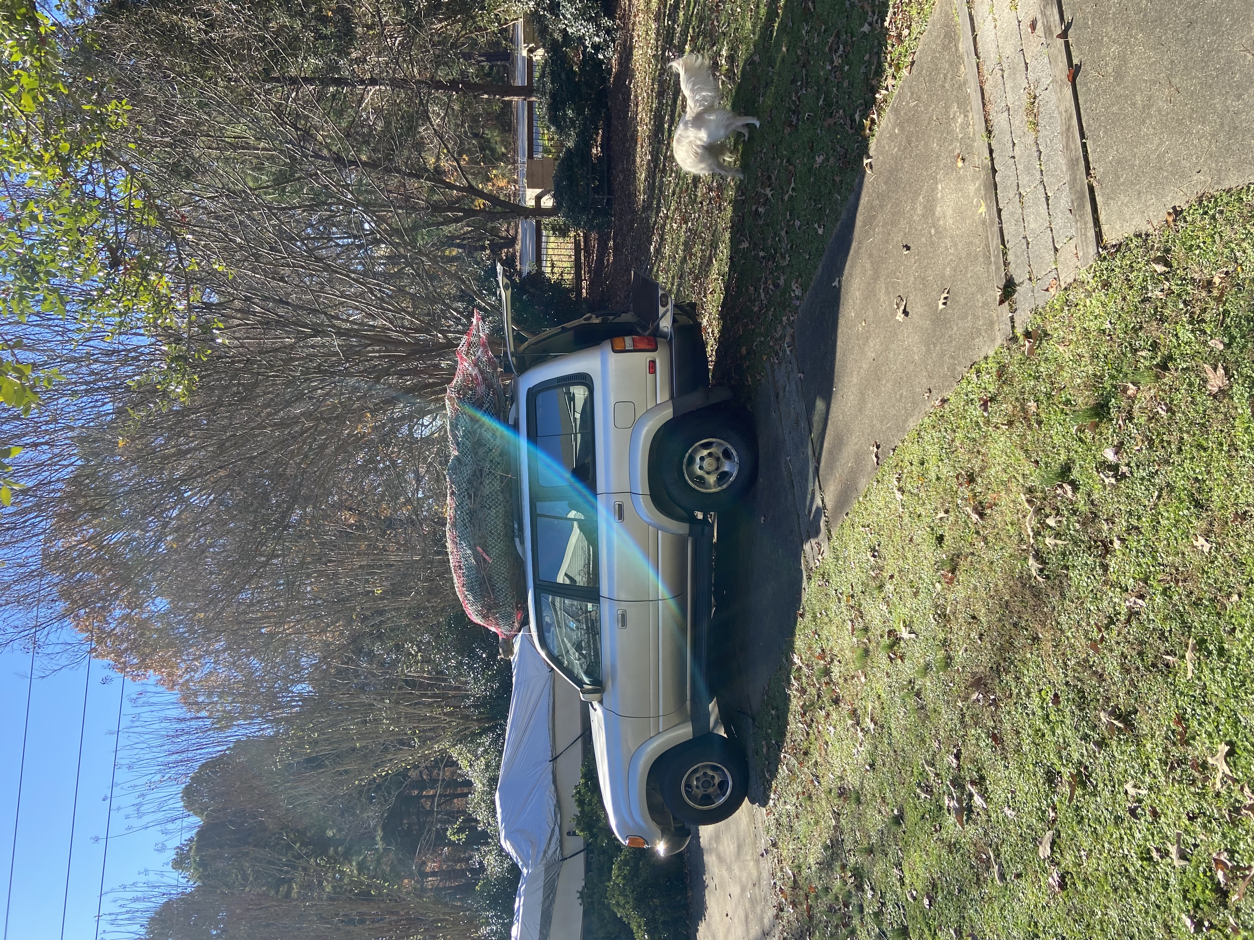 Used 1994 Toyota Land Cruiser AWD/4WD image 9