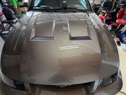 Used 2003 Ford Mustang Cobra image 4