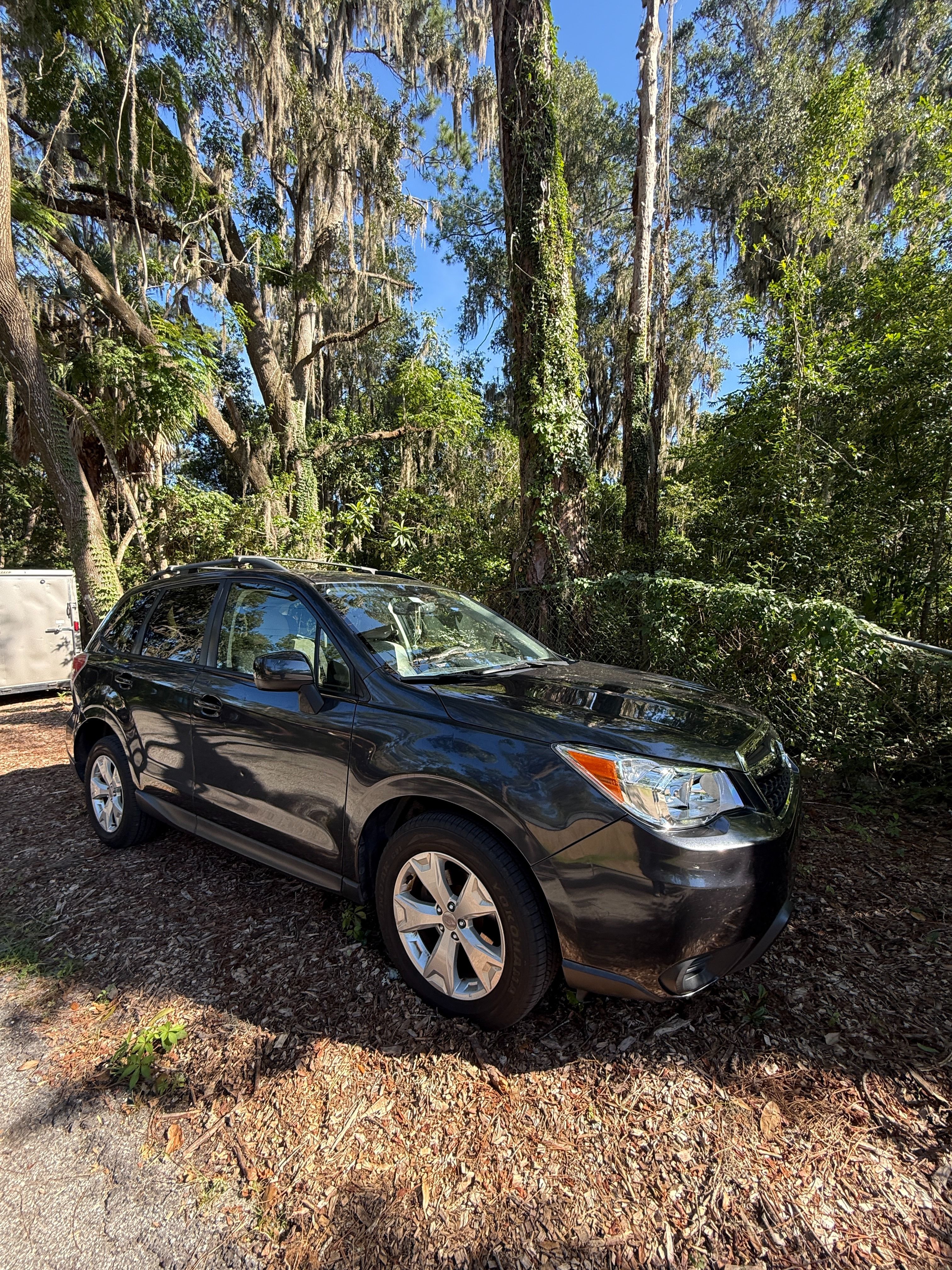 Used 2014 Subaru Forester 2.5i Premium w/ Popular Package #2 AWD/4WD image 1