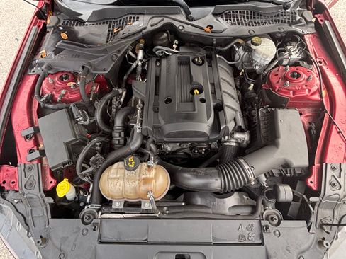 Used 2019 Ford Mustang EcoBoost Coupe 2D w/ Black Accent Package image 16