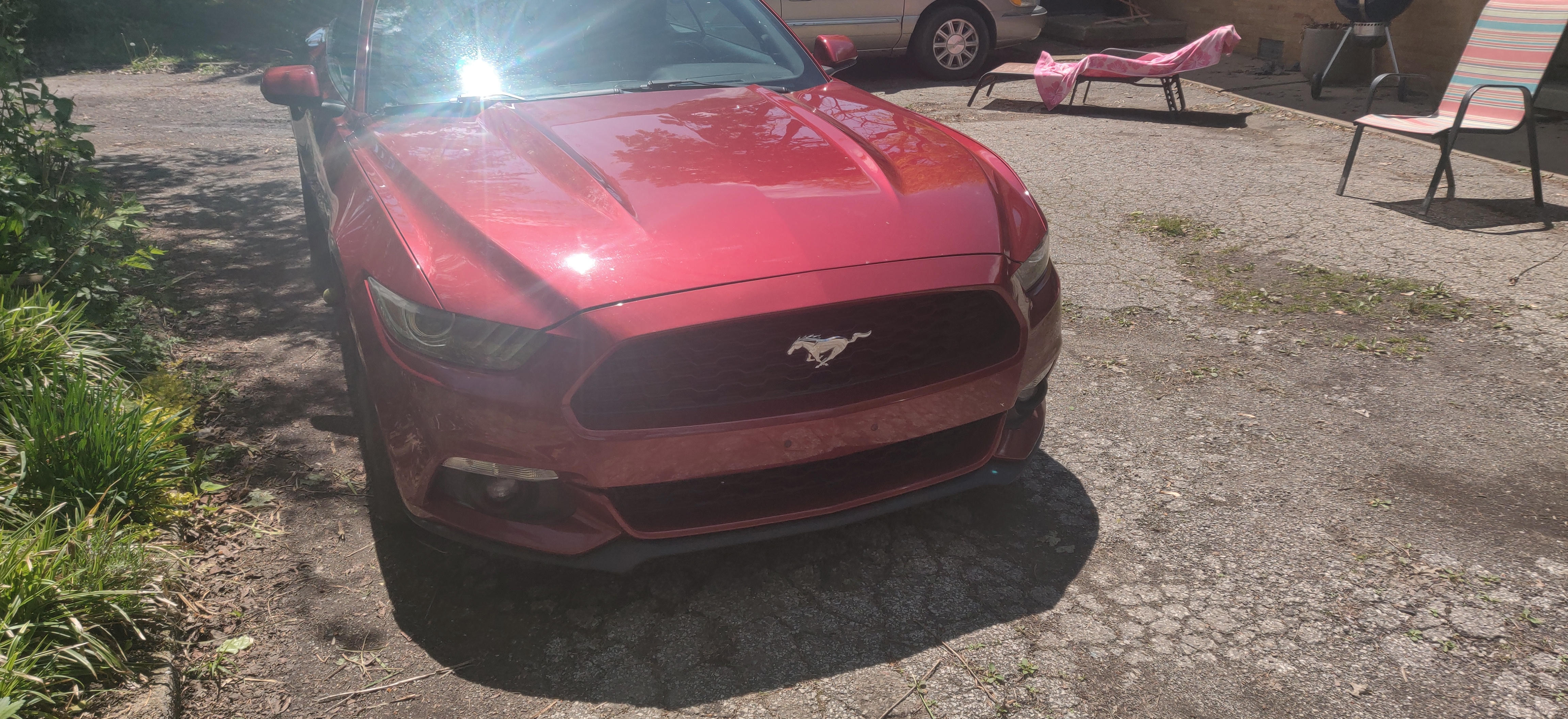 Used 2016 Ford Mustang Premium RWD image 5