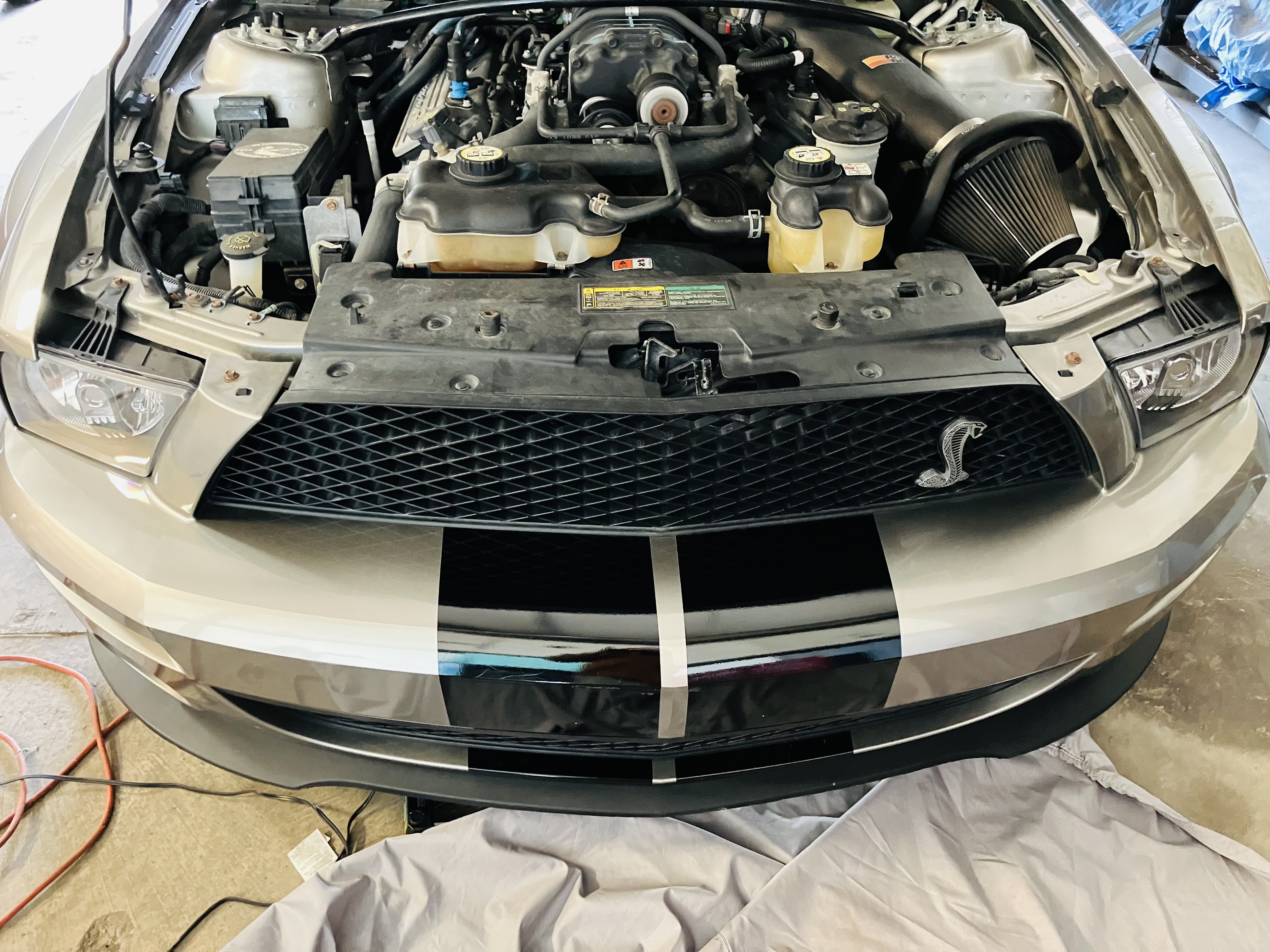 Used 2008 Ford Mustang Shelby GT500 RWD image 6