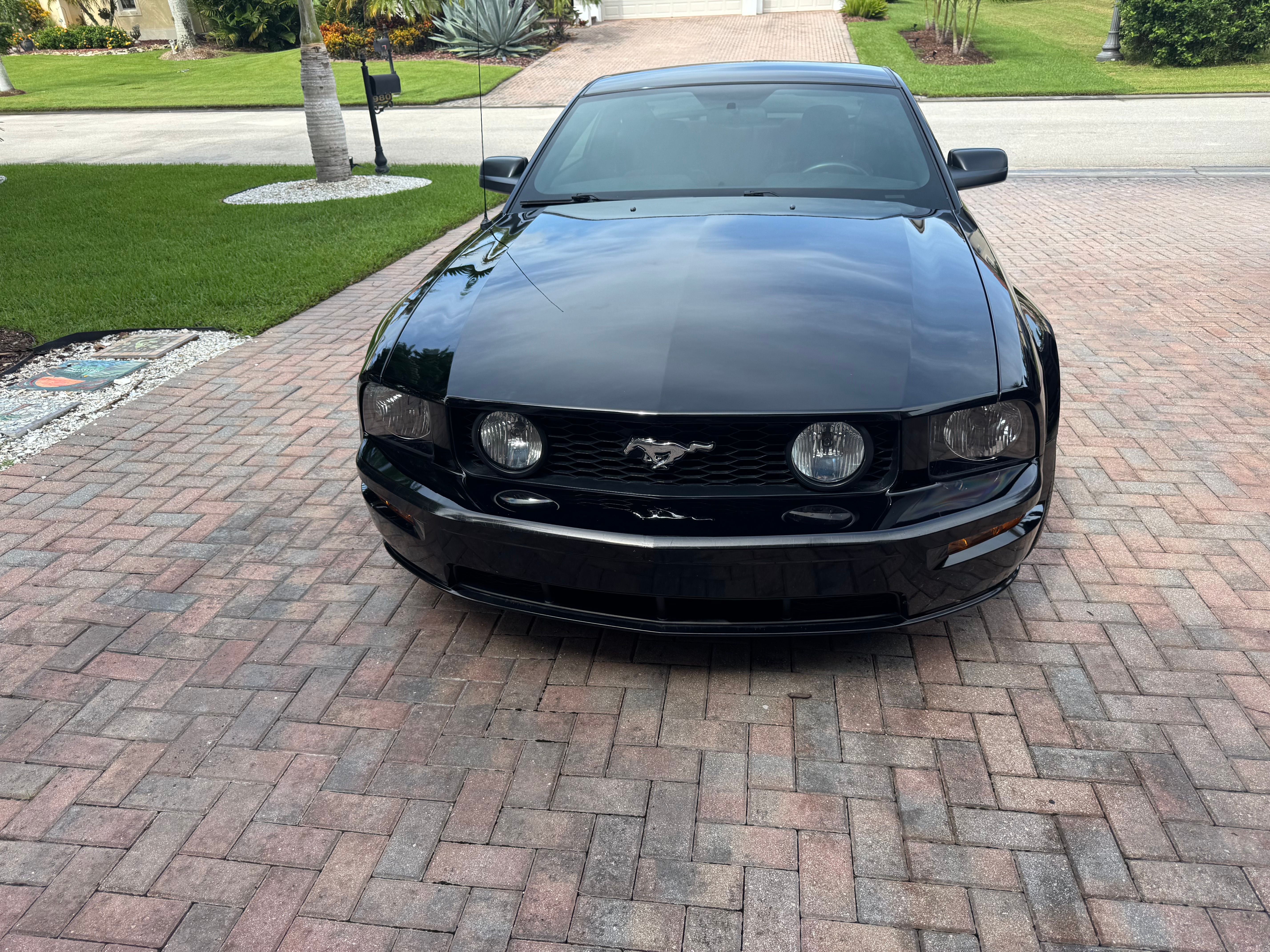 Used 2006 Ford Mustang GT RWD image 1