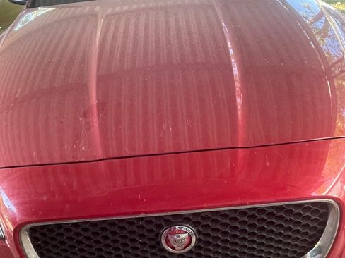 Used 2020 Jaguar XF Prestige image 14