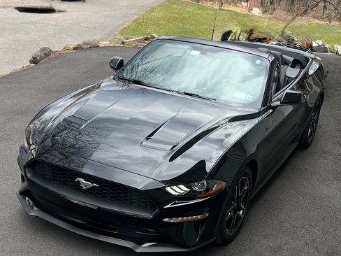 Used 2020 Ford Mustang Premium w/ Equipment Group 201A RWD image 11