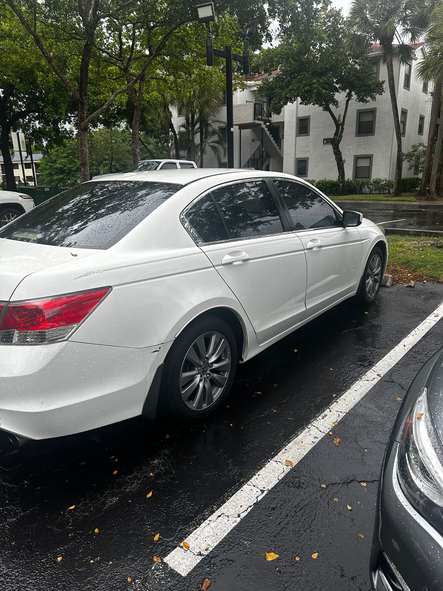 Used 2011 Honda Accord EX-L image 4