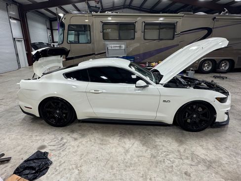 Used 2015 Ford Mustang 50 Years image 4