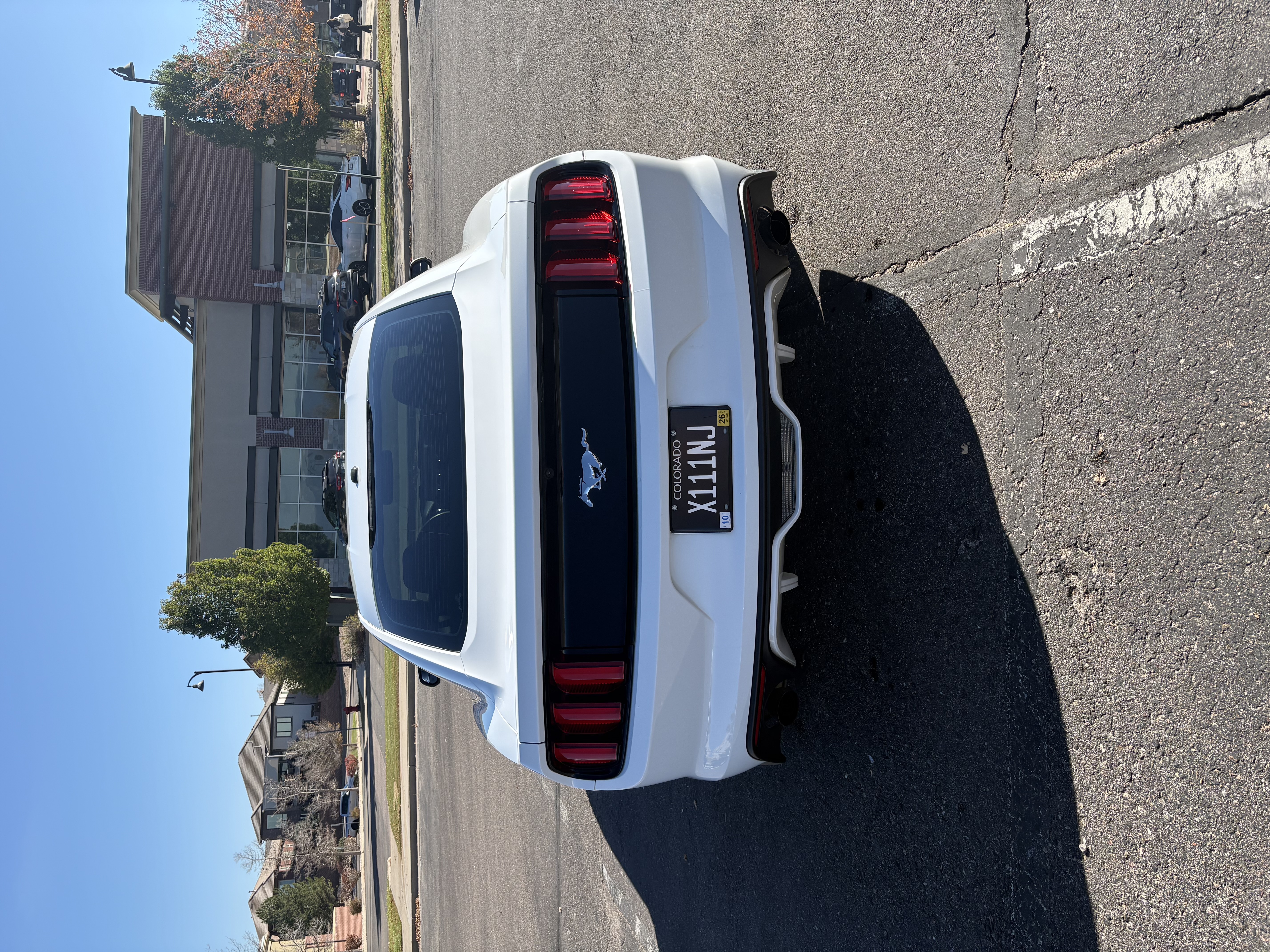 Used 2015 Ford Mustang Premium w/ Ecoboost Performance Package RWD image 5