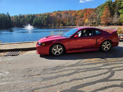 Used 2003 Ford Mustang Cobra image 4
