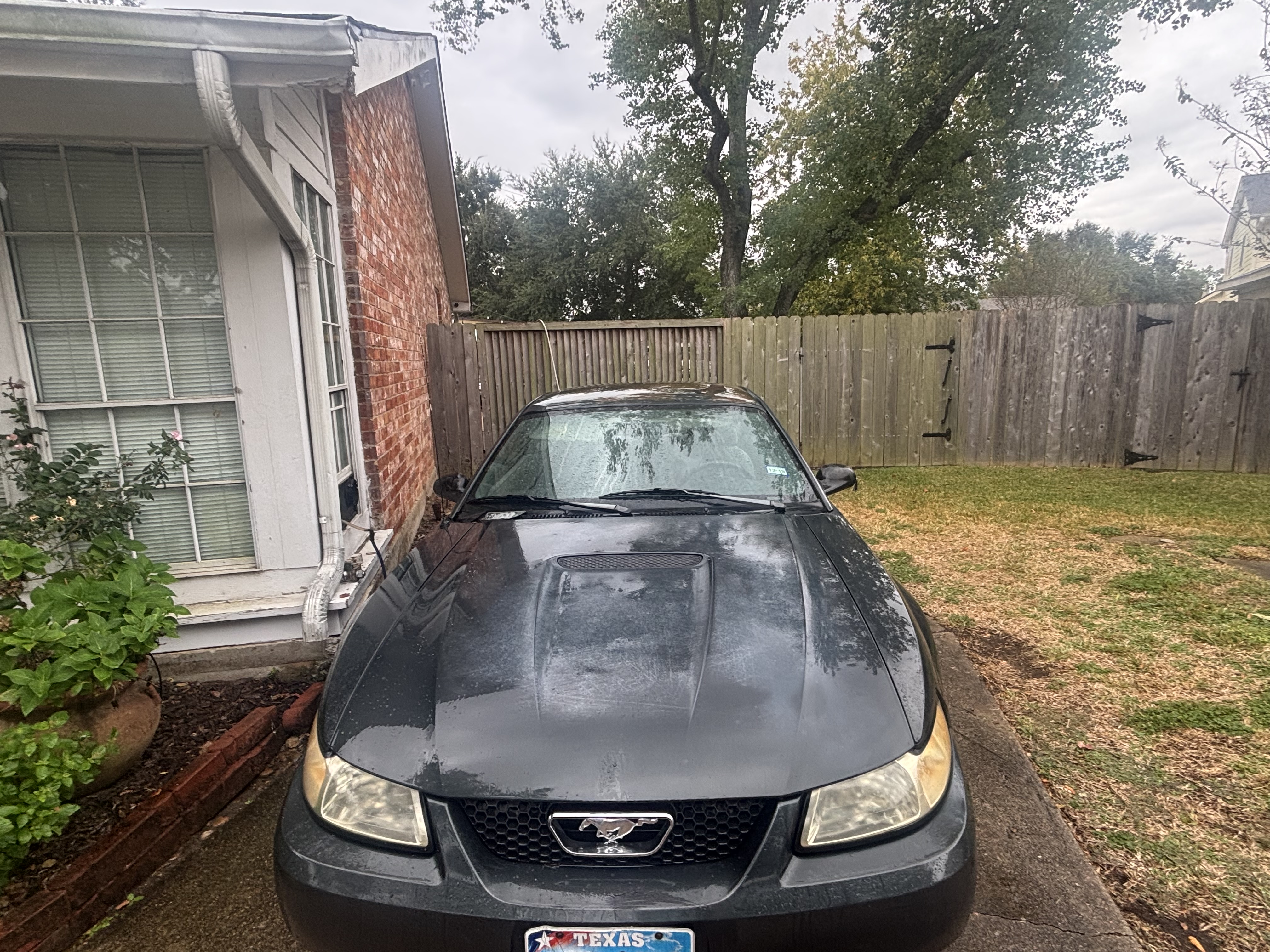 Used 1999 Ford Mustang Coupe RWD image 11