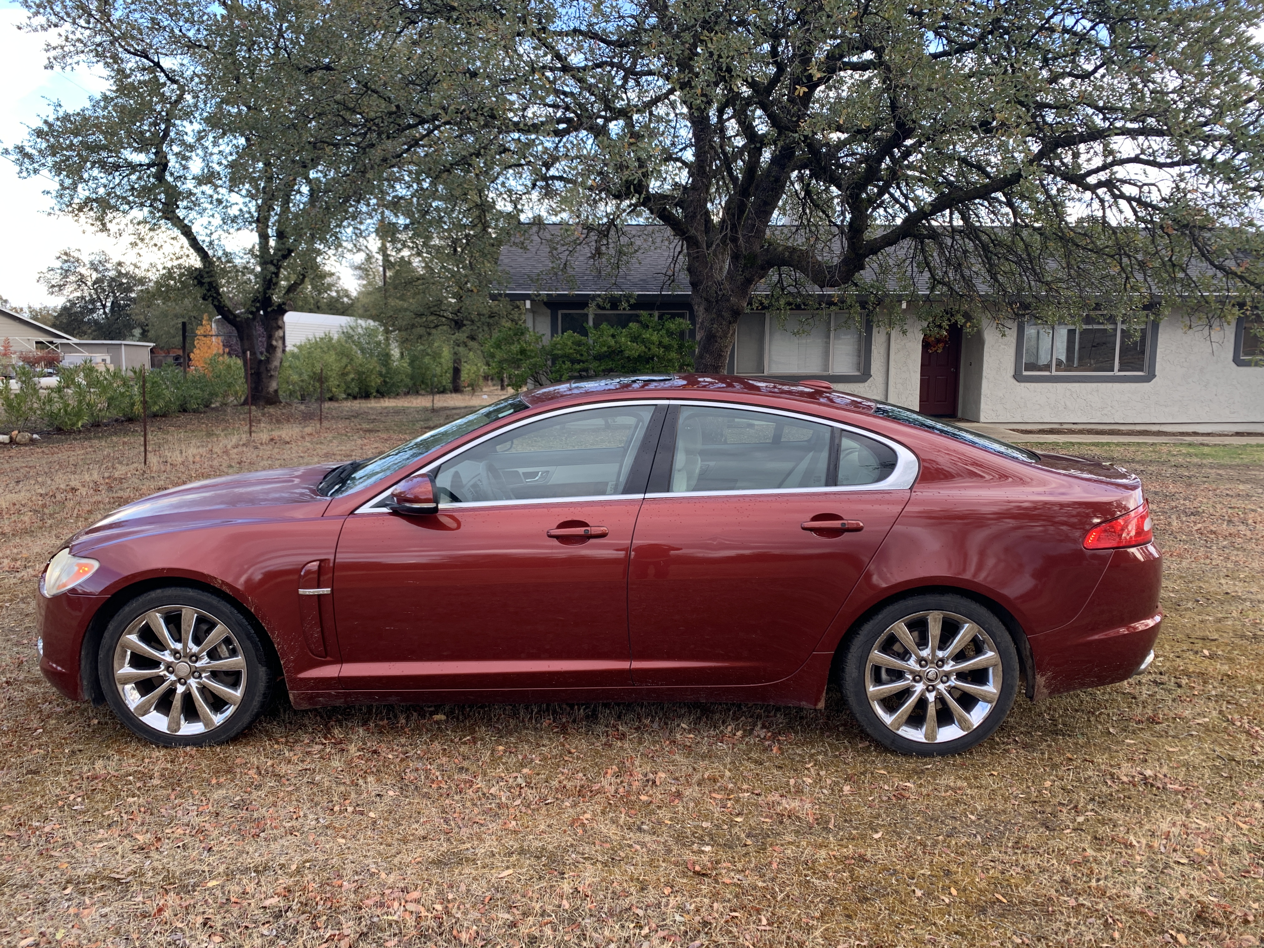 Used 2011 Jaguar XF Premium RWD image 1