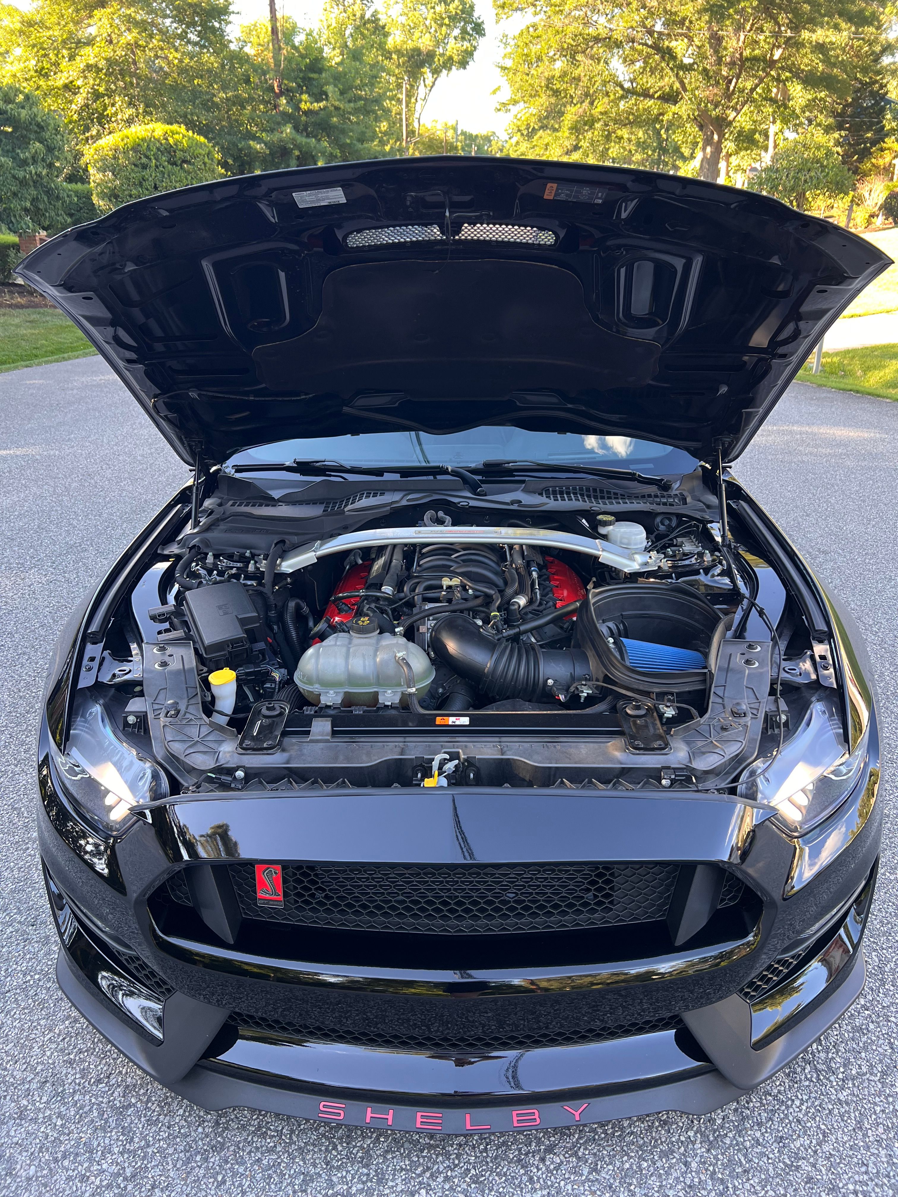 Used 2018 Ford Mustang Shelby GT350 w/ Electronics Package RWD image 16