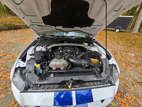 Used 2016 Ford Mustang Shelby GT350 w/ Track Package image 10