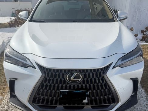 Used 2024 Lexus NX 350h AWD w/ Cold Area Package image 1